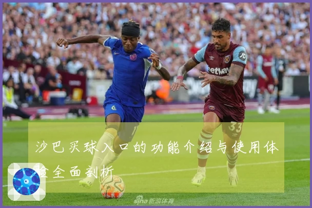 沙巴买球入口的功能介绍与使用体验全面剖析