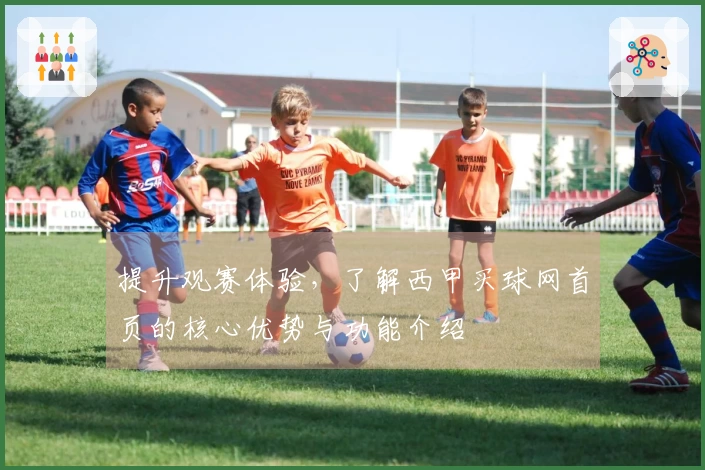 提升观赛体验，了解西甲买球网首页的核心优势与功能介绍
