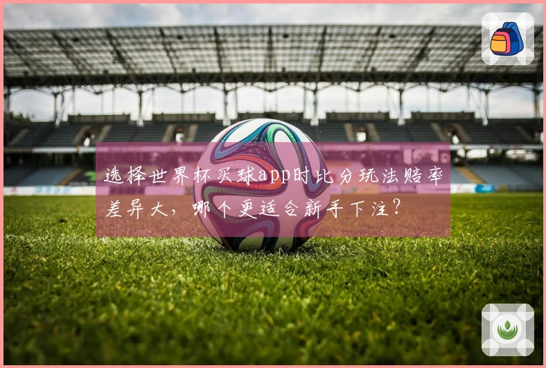 选择世界杯买球app时比分玩法赔率差异大，哪个更适合新手下注？