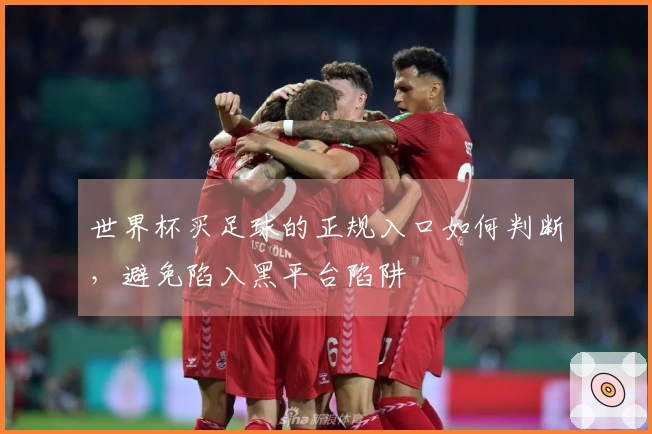 世界杯买足球的正规入口如何判断，避免陷入黑平台陷阱