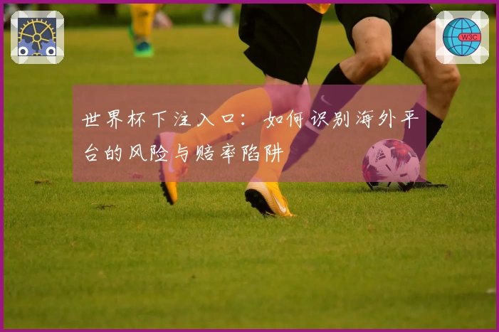 世界杯下注入口：如何识别海外平台的风险与赔率陷阱