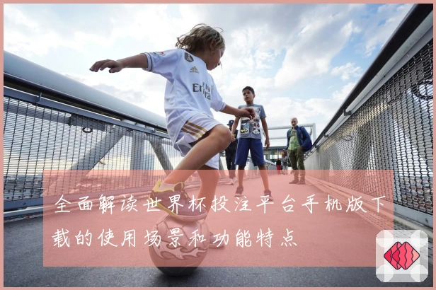 全面解读世界杯投注平台手机版下载的使用场景和功能特点