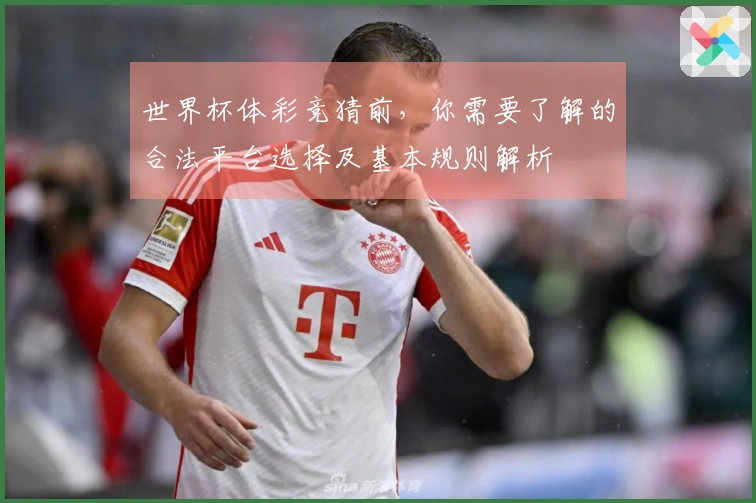 世界杯体彩竞猜前，你需要了解的合法平台选择及基本规则解析