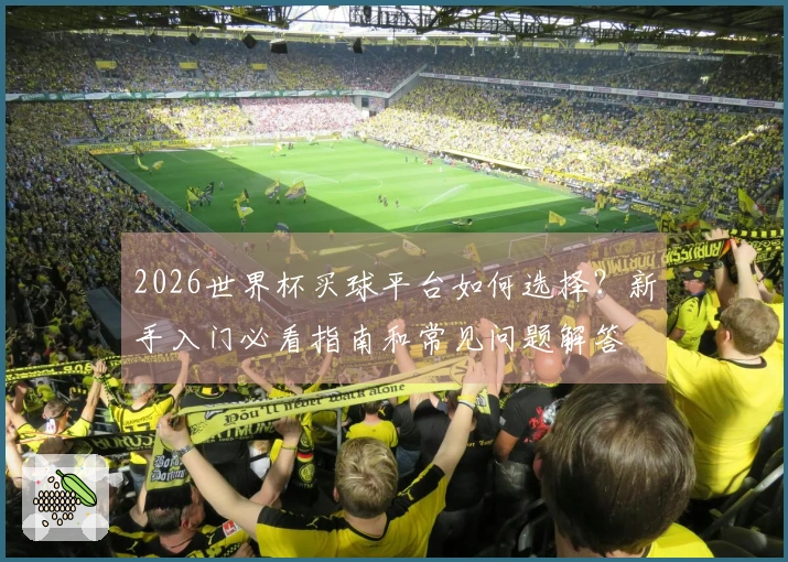2026世界杯买球平台如何选择？新手入门必看指南和常见问题解答